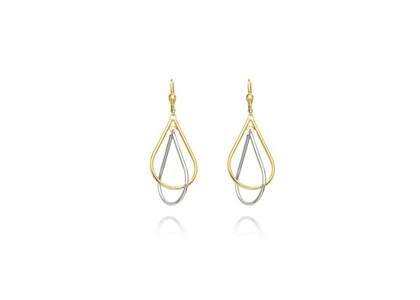 2 Tone Plated | Fashion Earrings